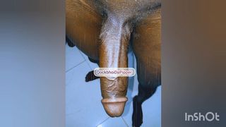 QOCKBHOIDAPIPPER -CUM TRIBUTE E84 [SUBSCRIBE TO MY SHEER MEMBERSHIP FOR FULL LENGTH VIDEOS]