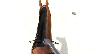 Lara Croft teaches anal fisting and horse cock.