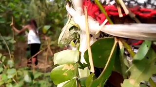 NACKANA REPUBLIC PORN PLAY LIST