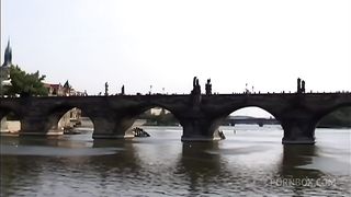 Filthy Crazy Cocksucker