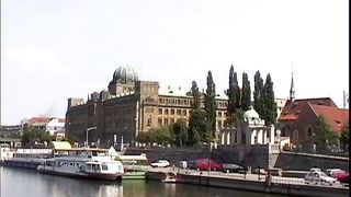 Filthy Crazy Cocksucker