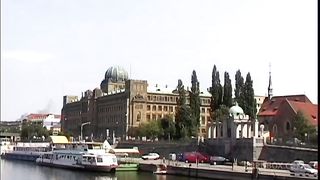 Filthy Crazy Cocksucker