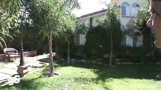 The hot Hailey make blowjob in the garden and anal sex in the room