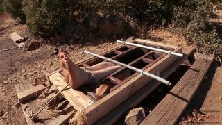 HUMILIATION AND BASTINADO IN THE GROUND BOX