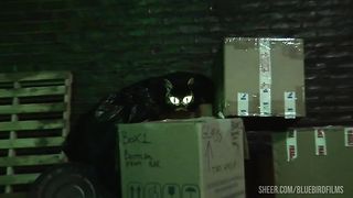 kitty is one of Claudia's fantasies