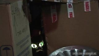 kitty is one of Claudia's fantasies