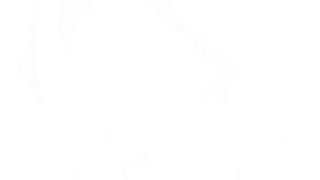 [BEST OF 2022 C03 PART 1] 64 Loads Safira Yakkuza, Mia Brown, Arish Lamborghini, DP, DAP, BBC, Swallow, Cum in mouth