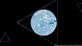 Encontrei essa morena tatuada toda gostosa perdida na praia de nudismo, nao teve jeito, ela teve que sentar no meu pau