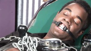 Sydnee Capri Takes A Huge Black Cock In Her Phat Booty