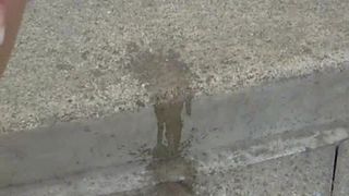 GUTEN TAG ICH HAB VOR IHRE TUR GEPISST