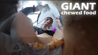 THE GIANT ALLOWS THE TINY HUMAN TO OBSERVE IT VERY CLOSELY WHILE IT EATS