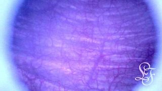 GOING INSIDE MY DEEPEST HOLES