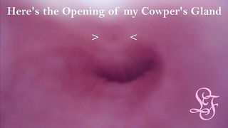 EXPLORING MY PEEHOLE AND FINDING WHERE I CUM FROM