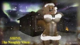 Christmas Night - The Northern Lights