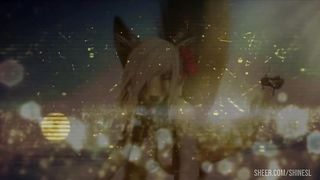 Christmas Night - The Northern Lights