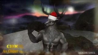 Christmas Night - The Northern Lights