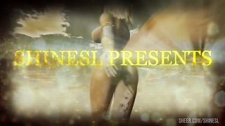 Christmas Night - The Northern Lights