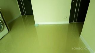 Girl Dog - Fucking a dog in the ass and pussy