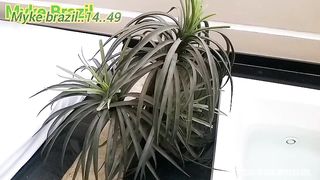 Eu para um motel e acabei conhecendo uma gostosa k se chama Soraya Castro agente comecou se gostar e se acabou rolando um clima gostoso com sex no hidro agente transou muito