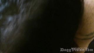 Real-life married swinger couple, Sasha Sweets and her hubby Nate Dogg, get it on with Dogg. Back and forth spitroast, deepthroating both cocks, and a dominating cuckold. Enjoy.