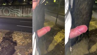 MI VERGA AL AIRE LIBRE... QUIERES?