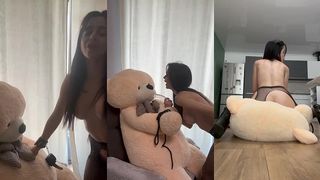 TEDDY BEAR DOMINATION