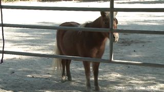 Sovereign Syre takes care of Carter Cruise's pussy in the Barn