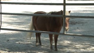 Sovereign Syre takes care of Carter Cruise's pussy in the Barn