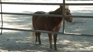 Sovereign Syre takes care of Carter Cruise's pussy in the Barn