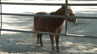 Sovereign Syre takes care of Carter Cruise's pussy in the Barn