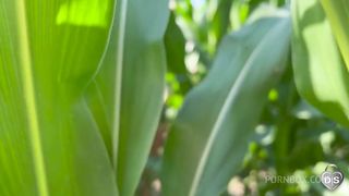 public play strapon in the cornfields