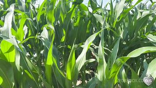 public play strapon in the cornfields