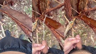 PEE ON WOOD SPLINTER