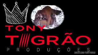 YASMIN FONTES em O ENCANADOR HUMILDE 4