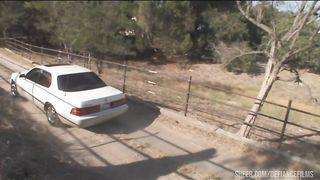 Black cock sliding inside wet milf pussy sex desire and hardcore fuck