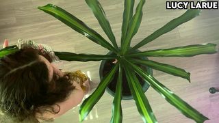 “OVERHEAD PLANT CLEANING BAREFOOT TOPLESS APRON FETISH”