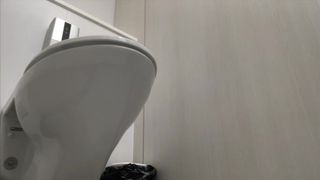 仕事中にムラムラして休憩タイムにト◯レに入ってパンツの中に手を入れてちゅくちゅくオナニーしてきました。