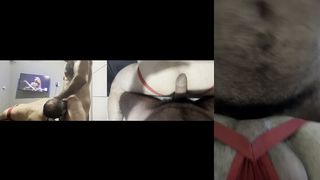 METENDO NA COCHORRINHA SAFADA