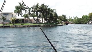 Hungarian MILF Anita Dark gets her pussy licked by curly haired blond Prinzzess