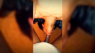 KINGZTAI - UPDATE #3 - XVIDEOS_SLIM_THICK_BLACK_TEEN_HD - JAN 31, 2026