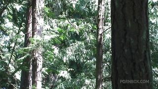 fucking my stepbro in the woods
