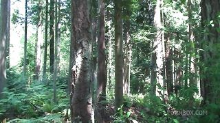 fucking my stepbro in the woods