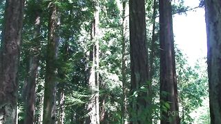 fucking my stepbro in the woods
