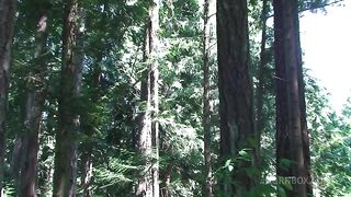 fucking my stepbro in the woods