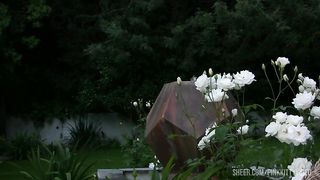 Bobbi Starr Takes A Huge Black Cock Up Her Asshole