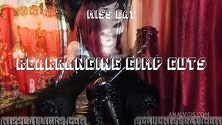 Rearranging Gimp Guts