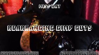 Rearranging Gimp Guts