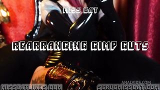 Rearranging Gimp Guts