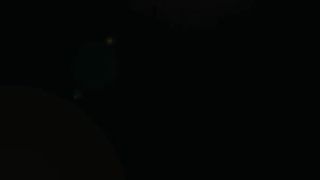 AVN Pansexual orgy 2020