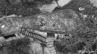 Ellas4 - Mirella Mansur in the bathtub